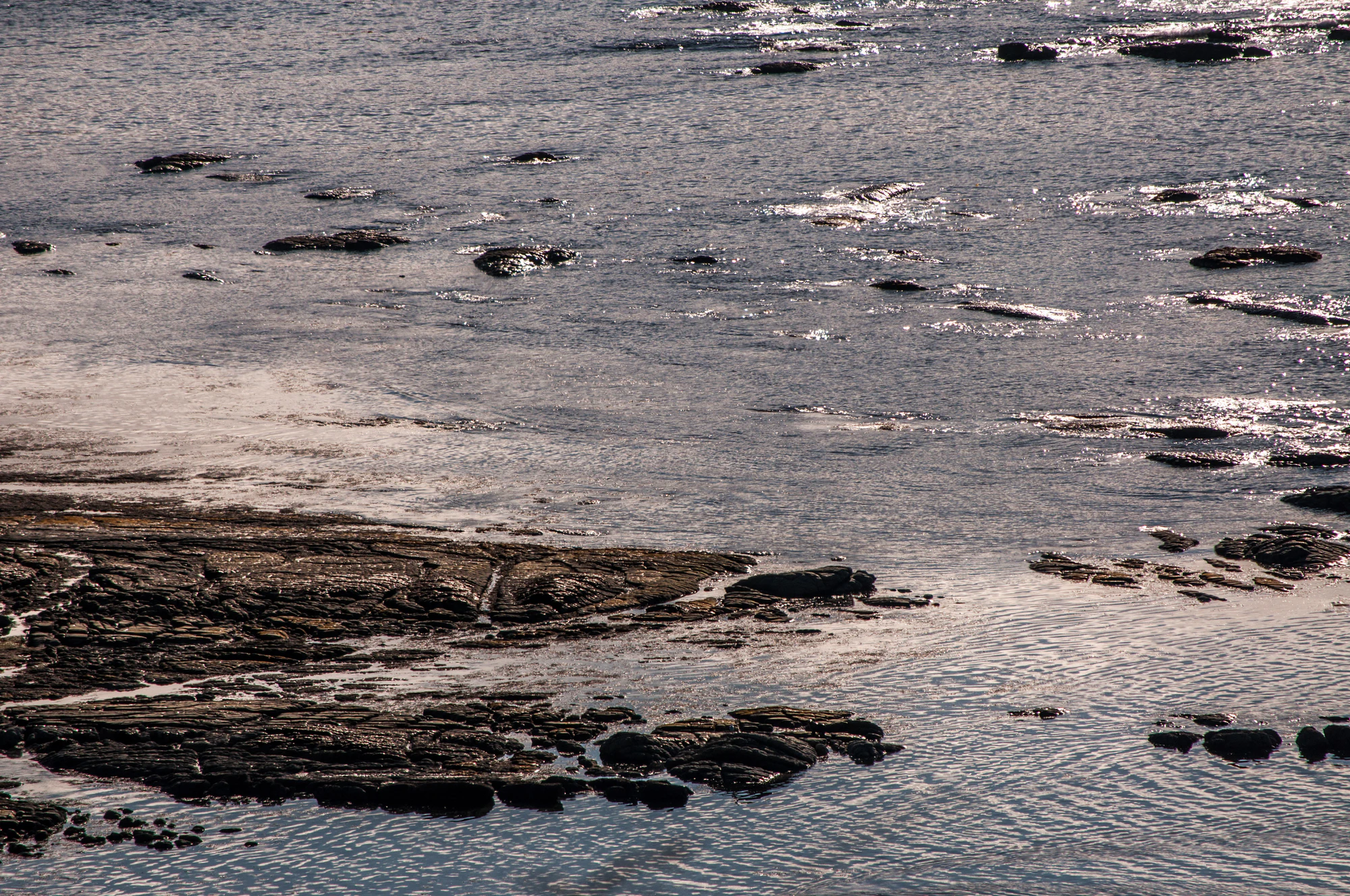 577 — Скачать