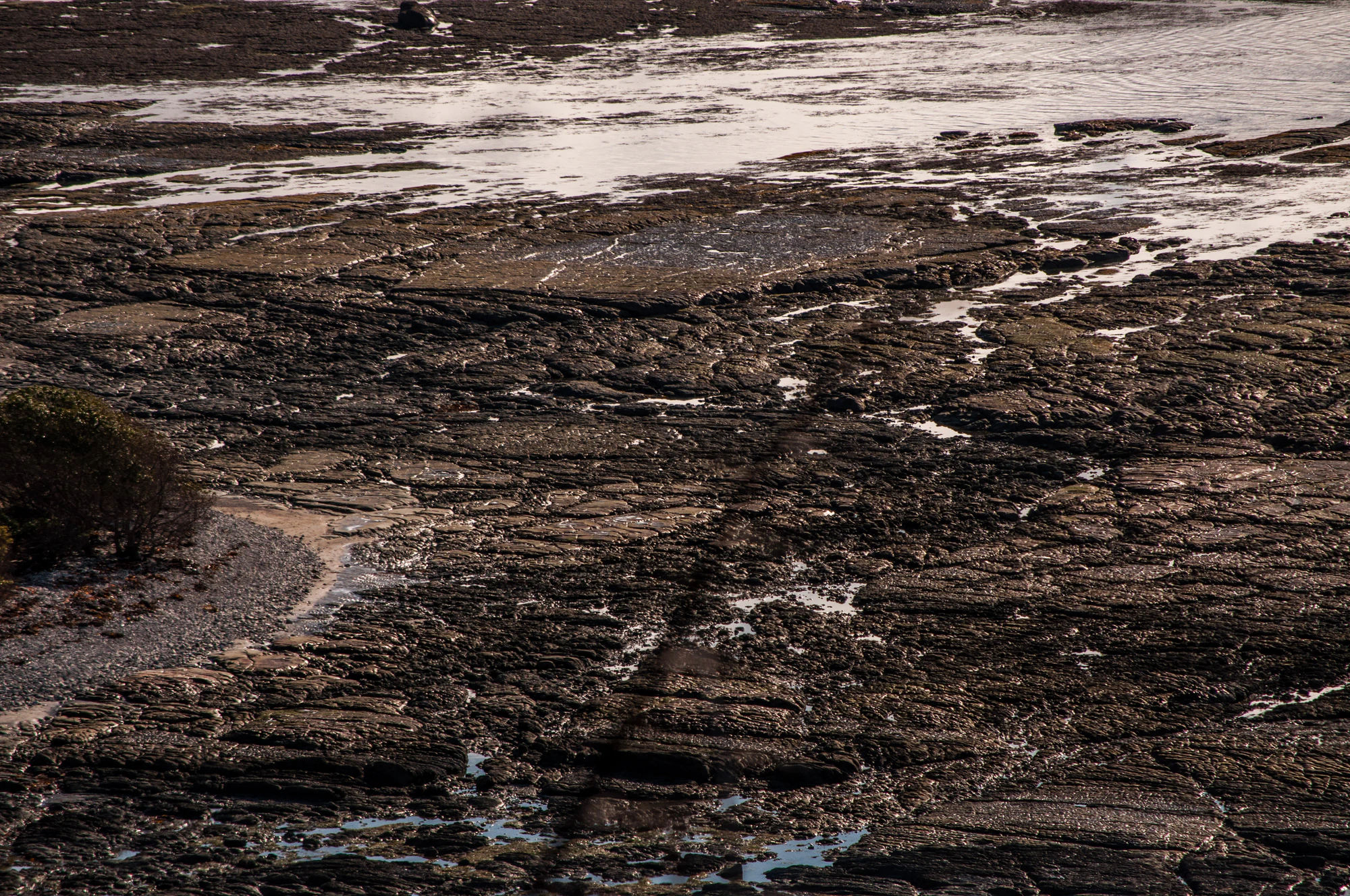 579 — Скачать