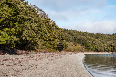 094 — Скачать