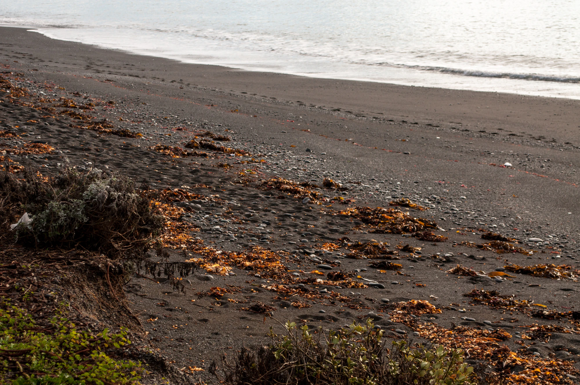 356 — Скачать