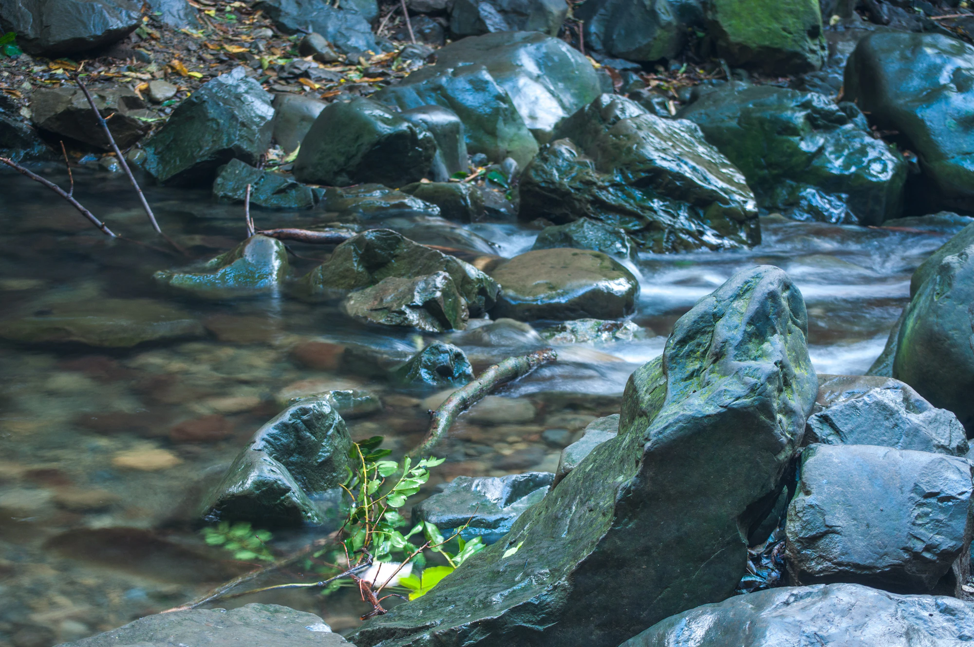 361 — Скачать