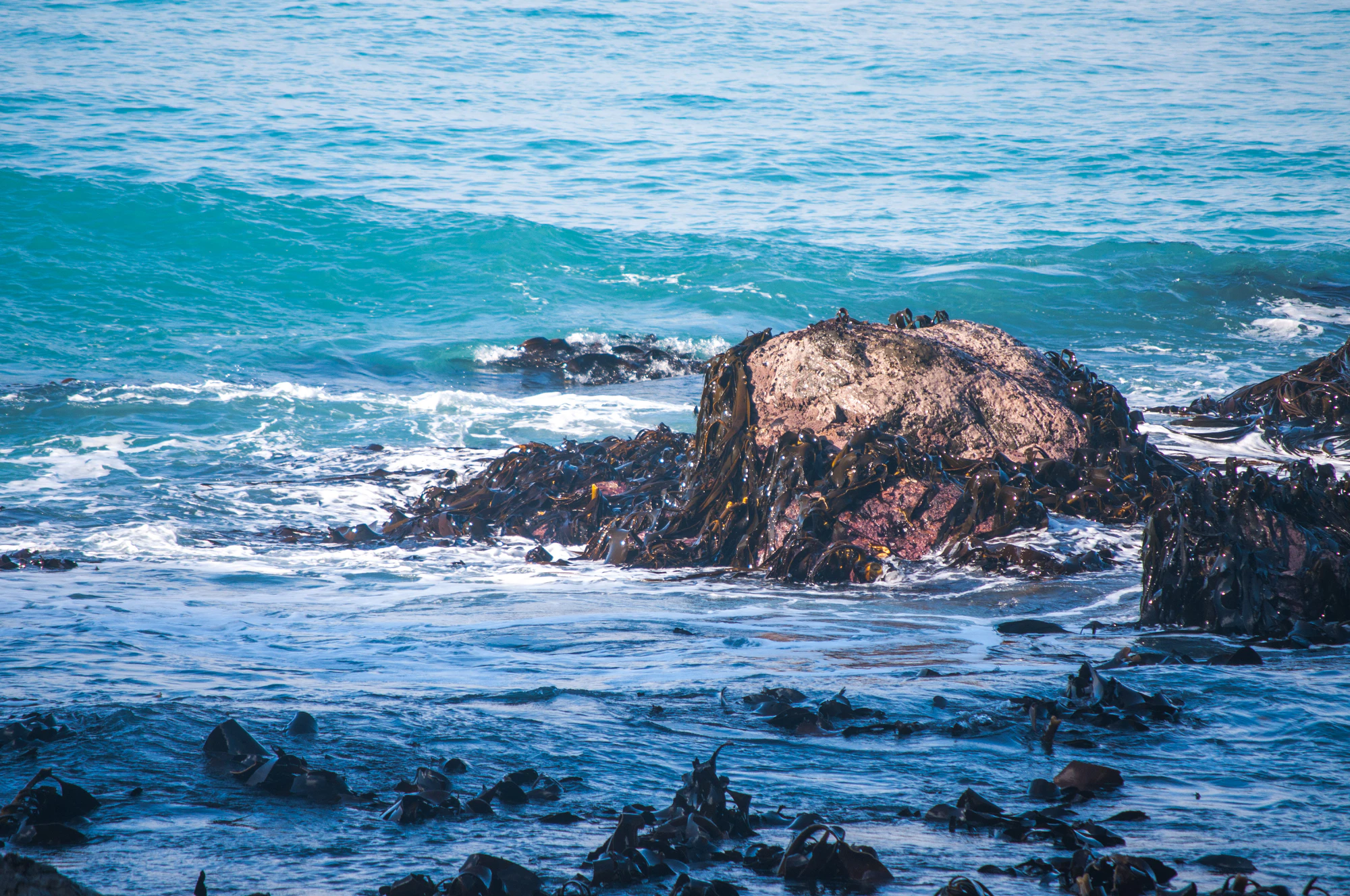 363 — Скачать