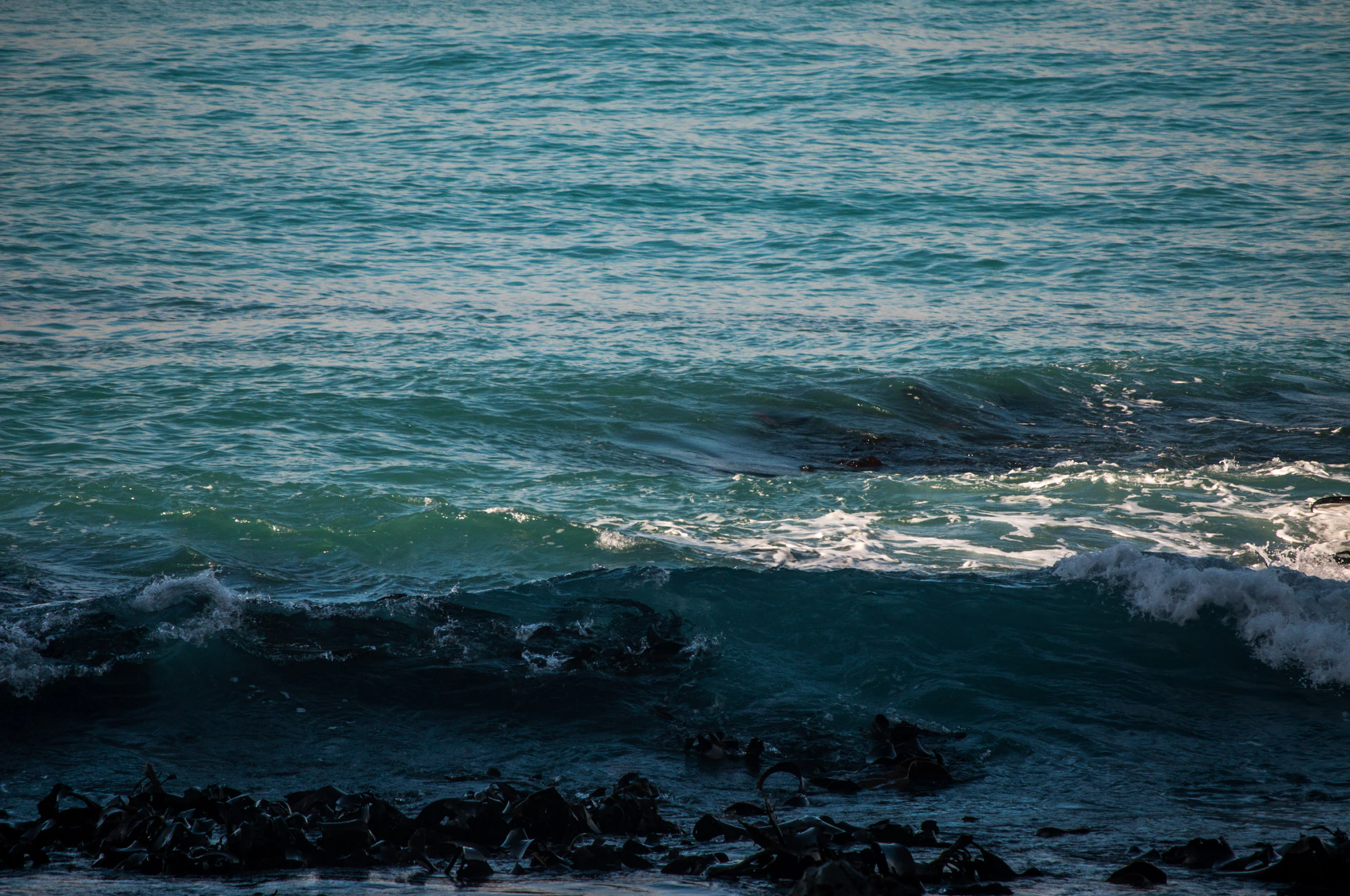 365 — Скачать