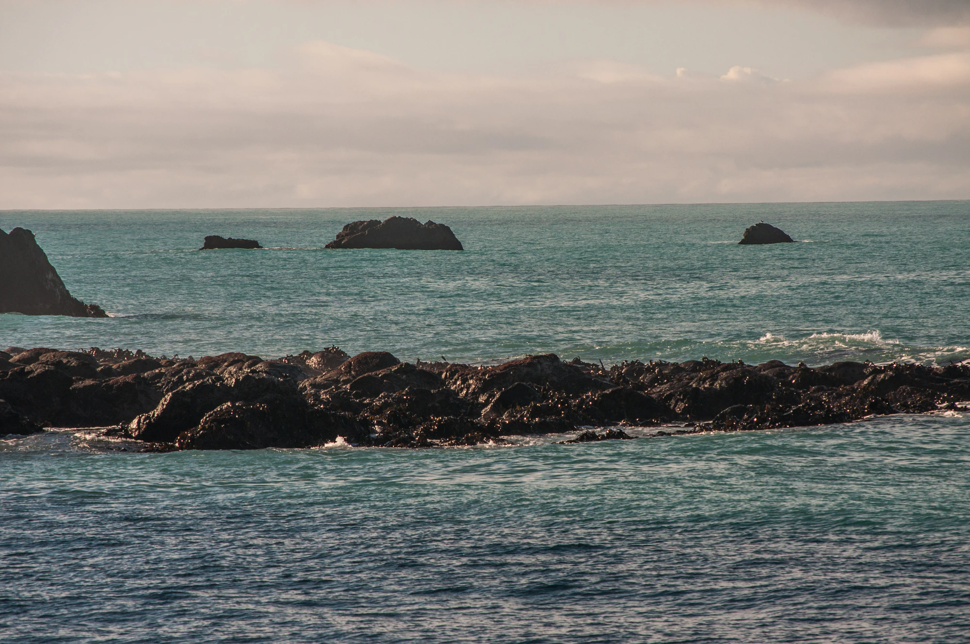 371 — Скачать