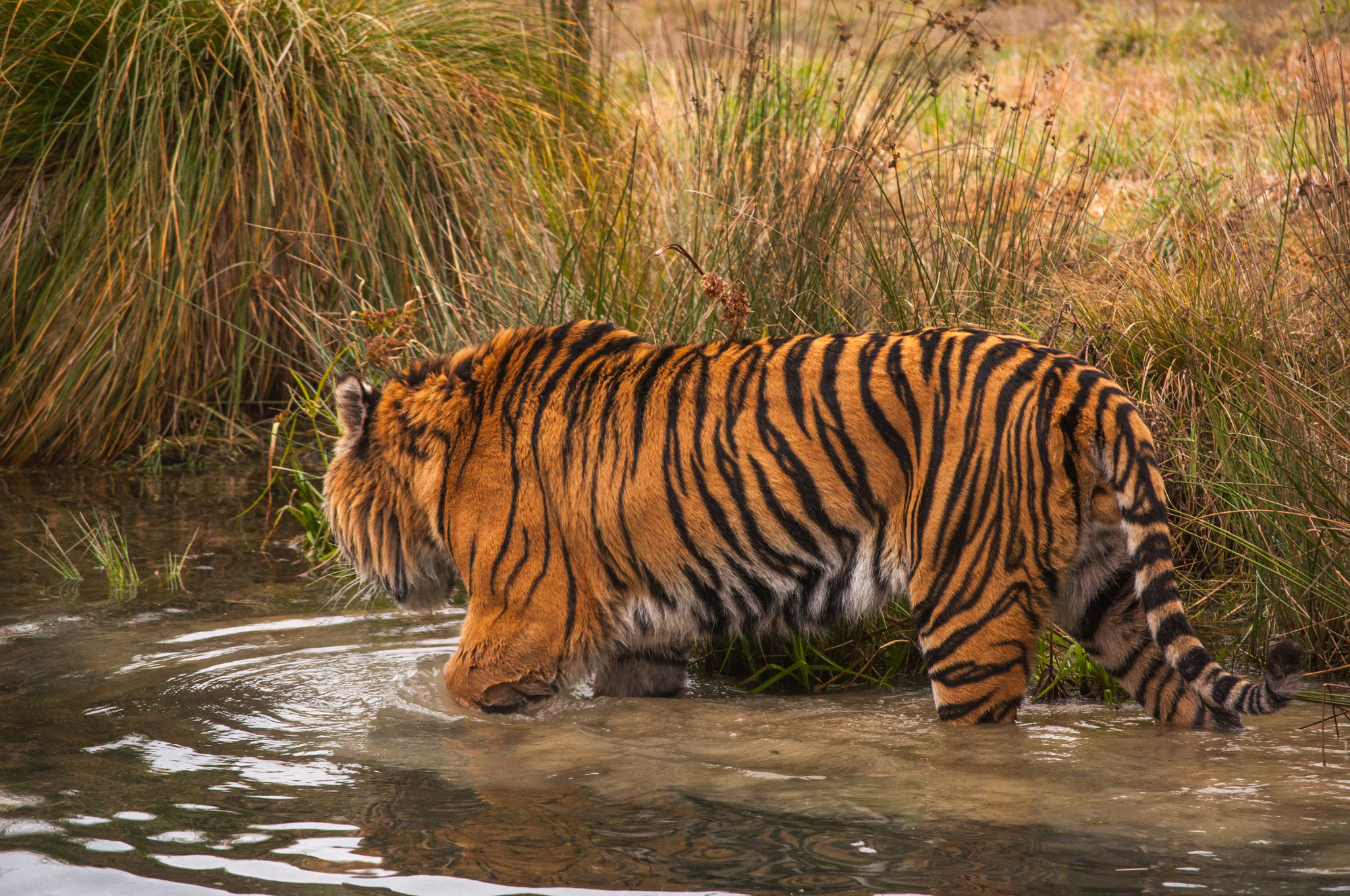 376 — Скачать