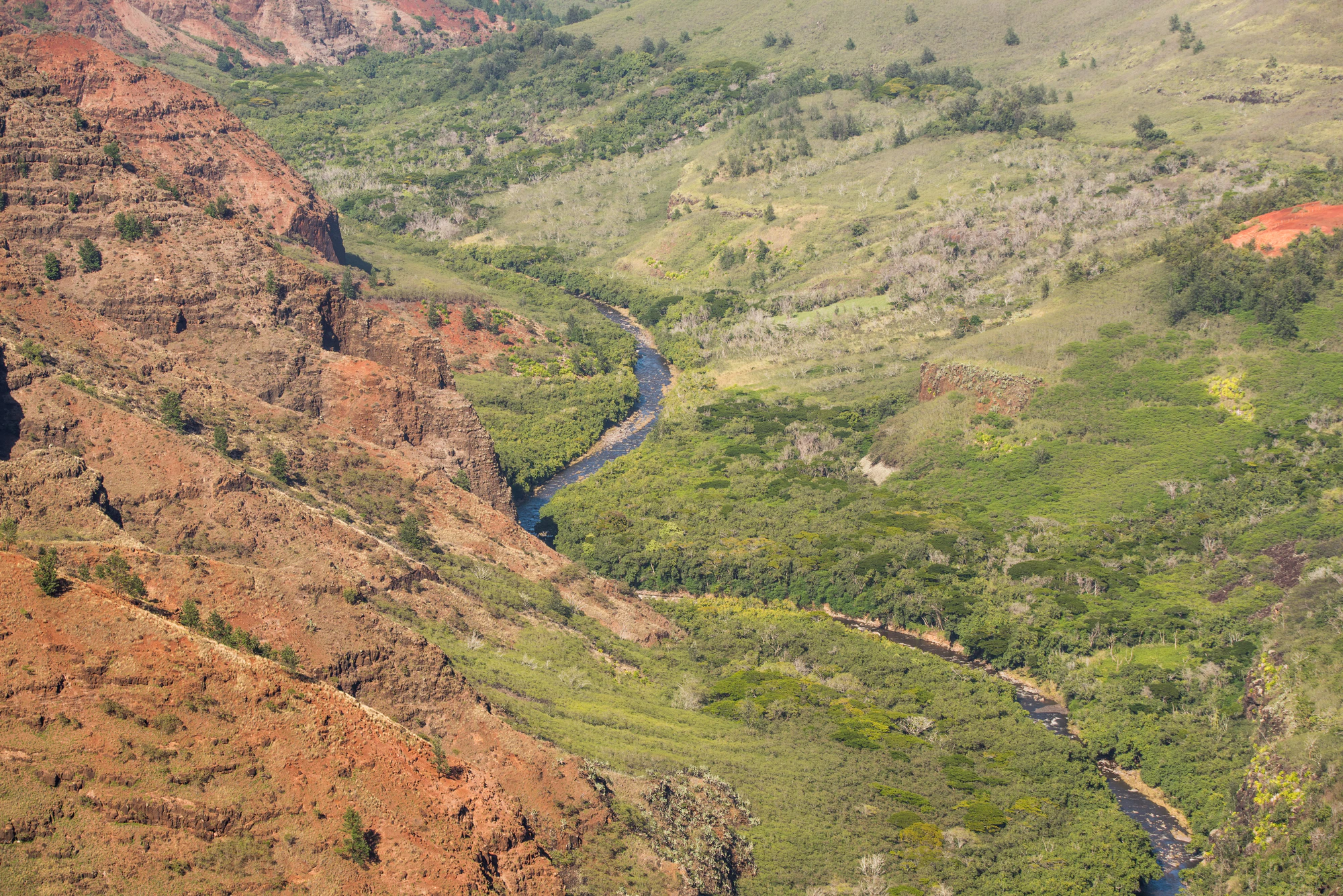 246 — Скачать