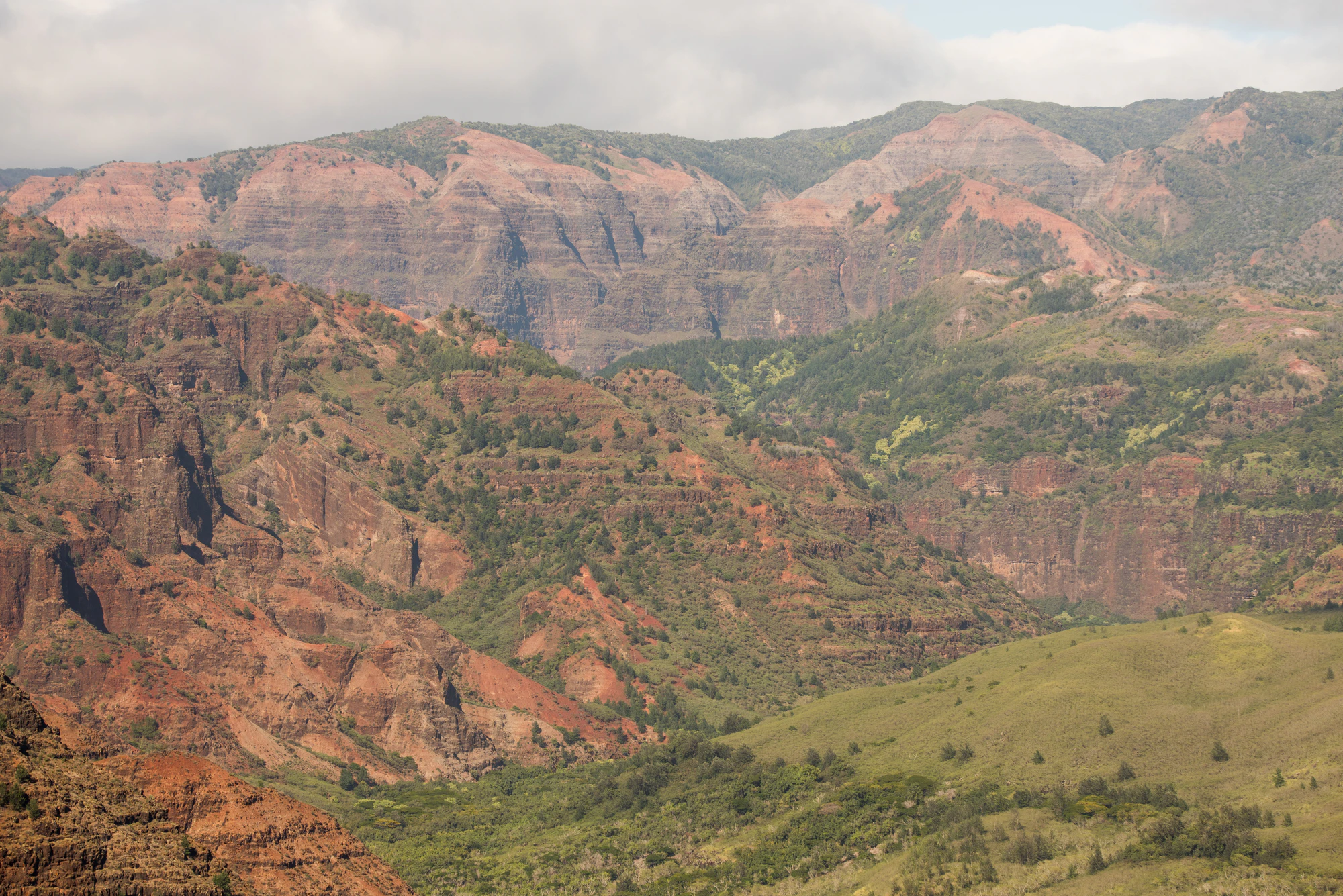 247 — Скачать