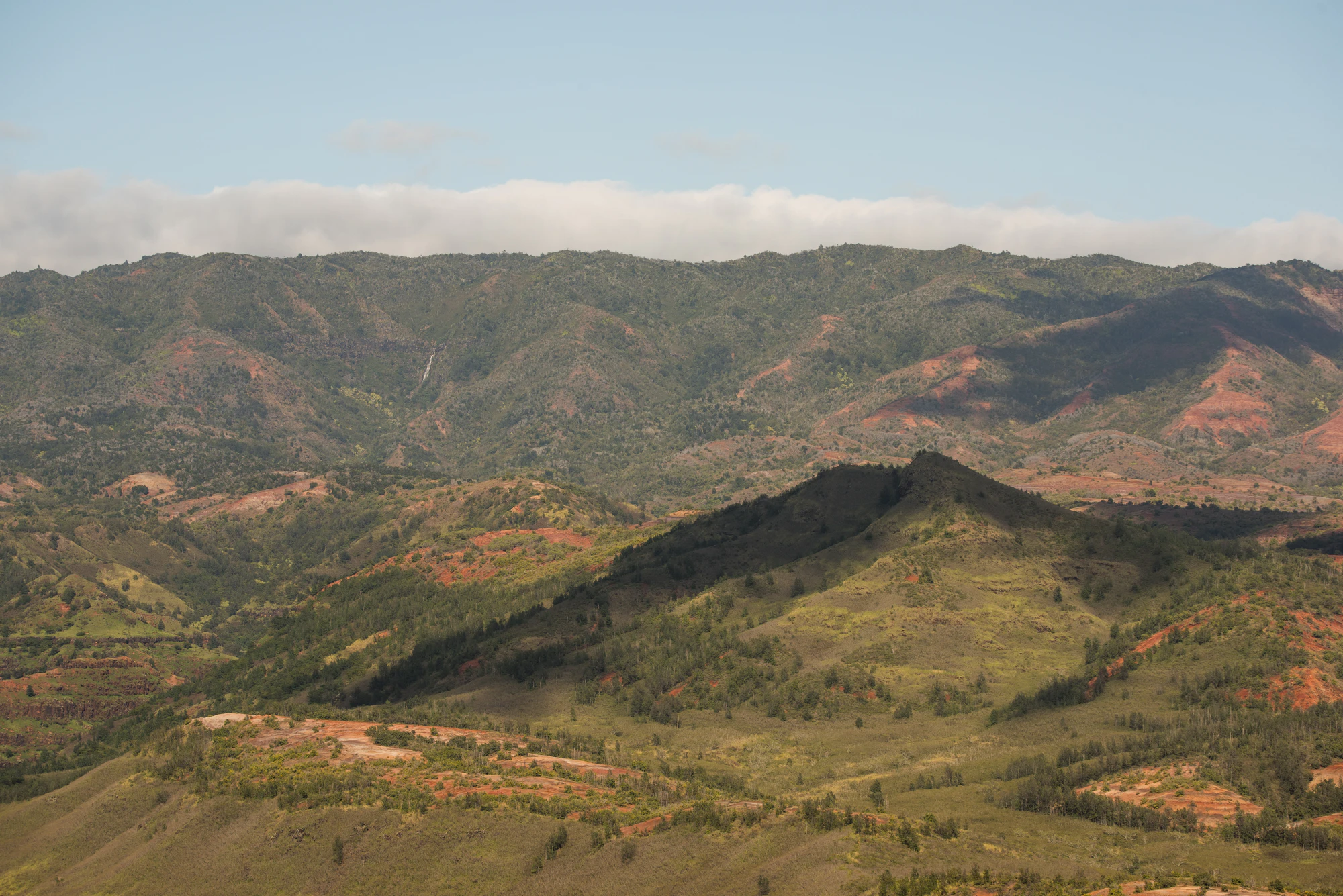 249 — Скачать