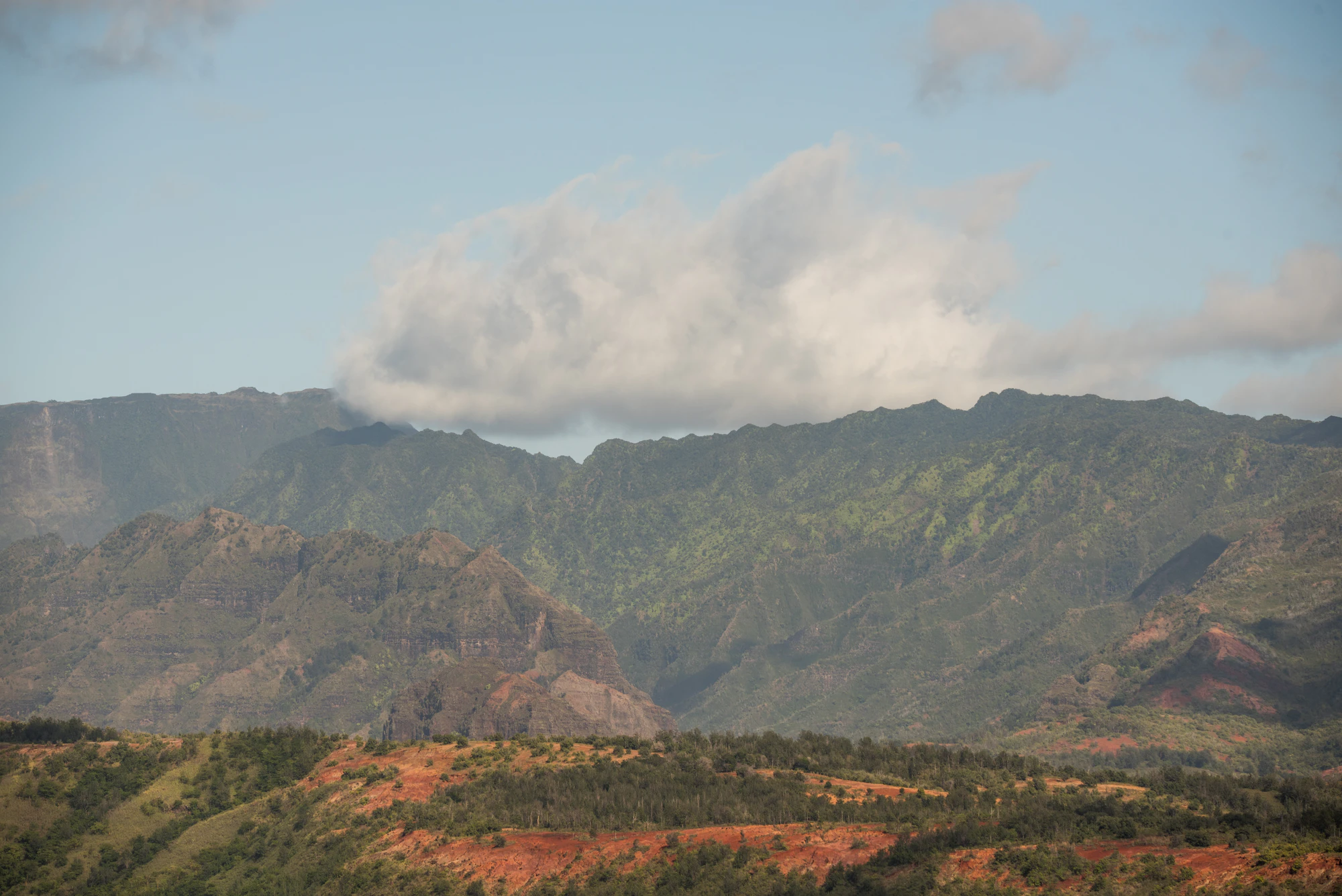 251 — Скачать