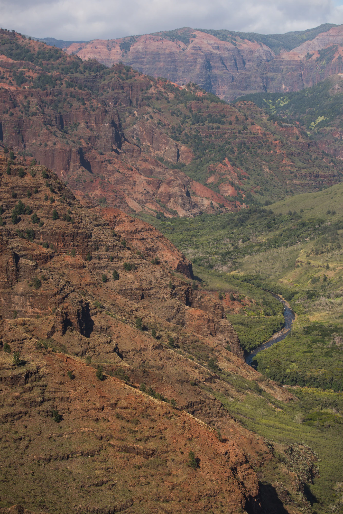 256 — Скачать