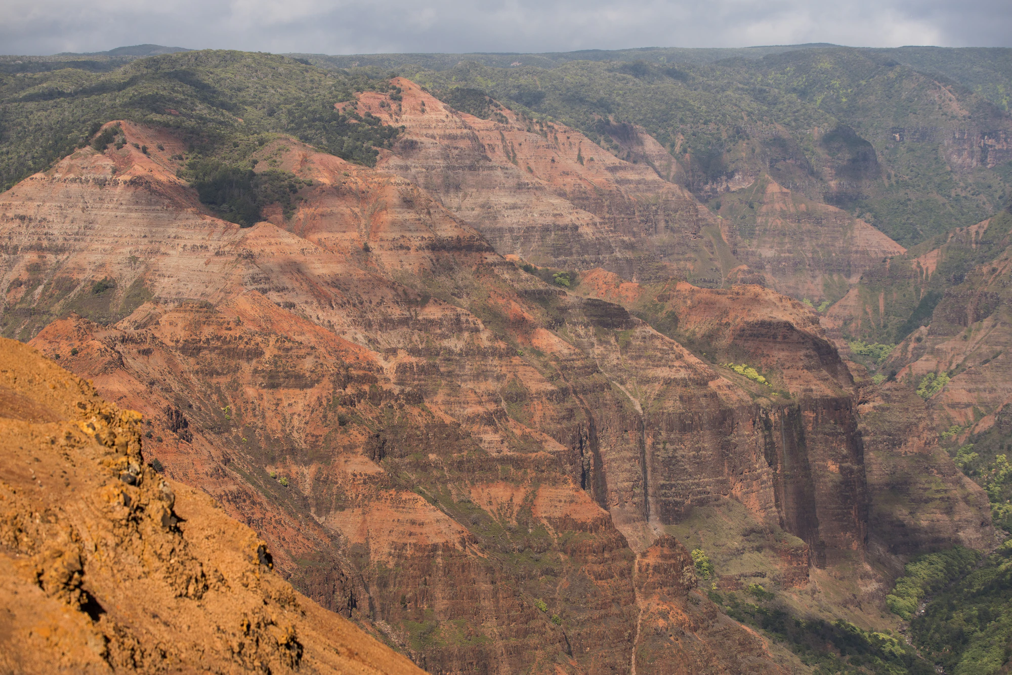 257 — Скачать