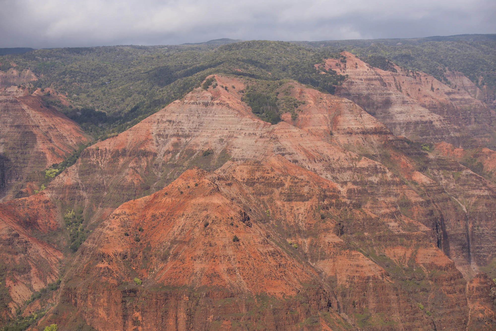 261 — Скачать