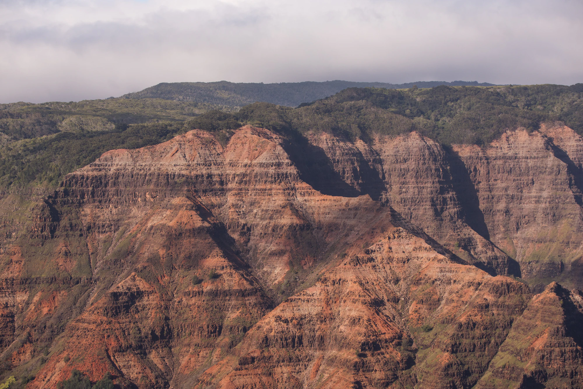 263 — Скачать