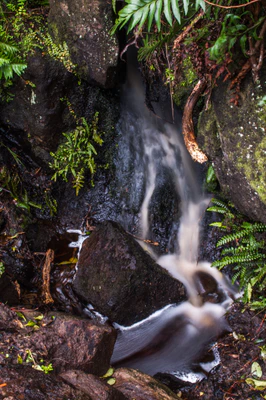 402 — скачать