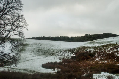 403 — скачать