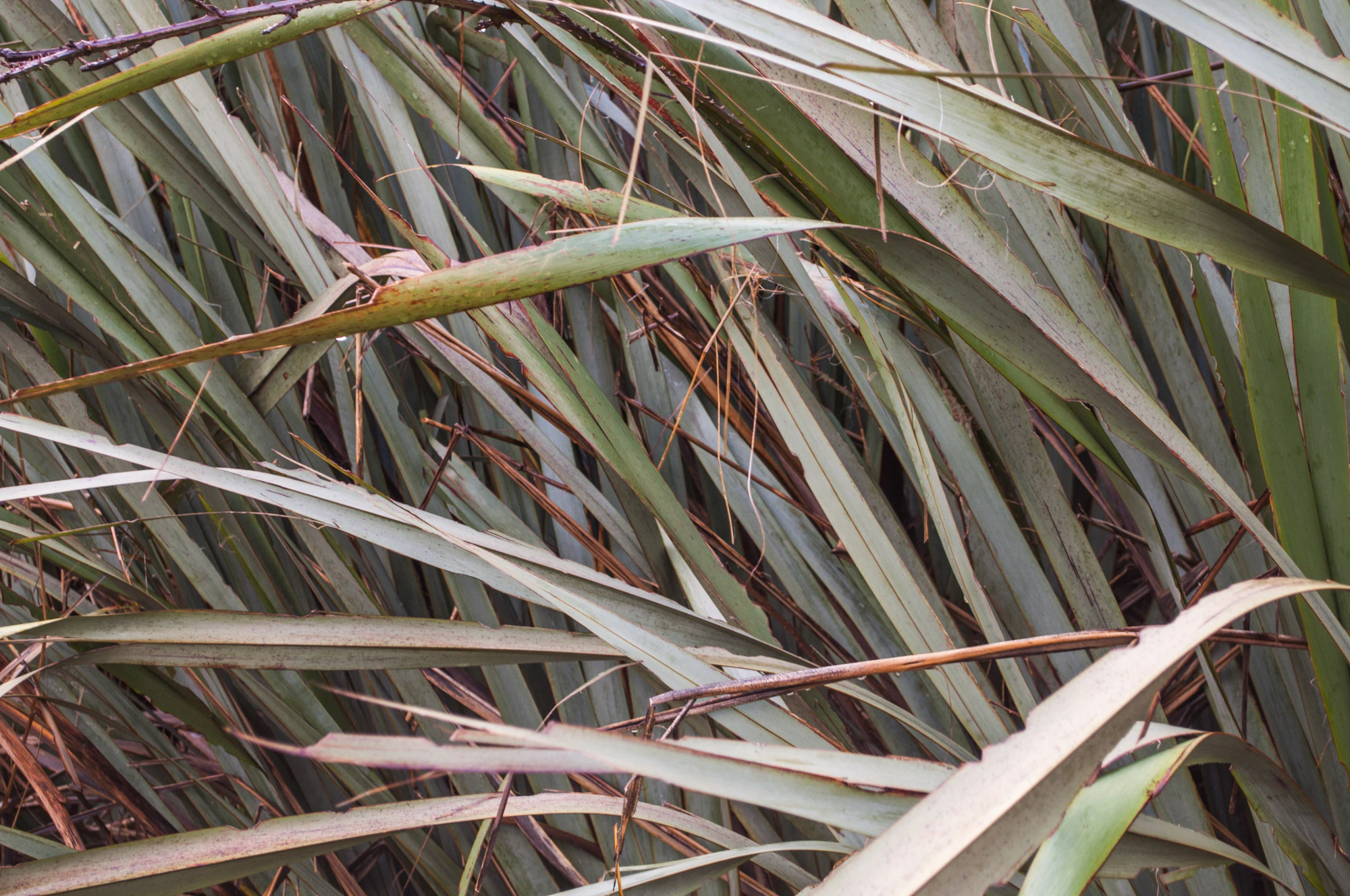 404 — Скачать