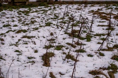 406 — скачать