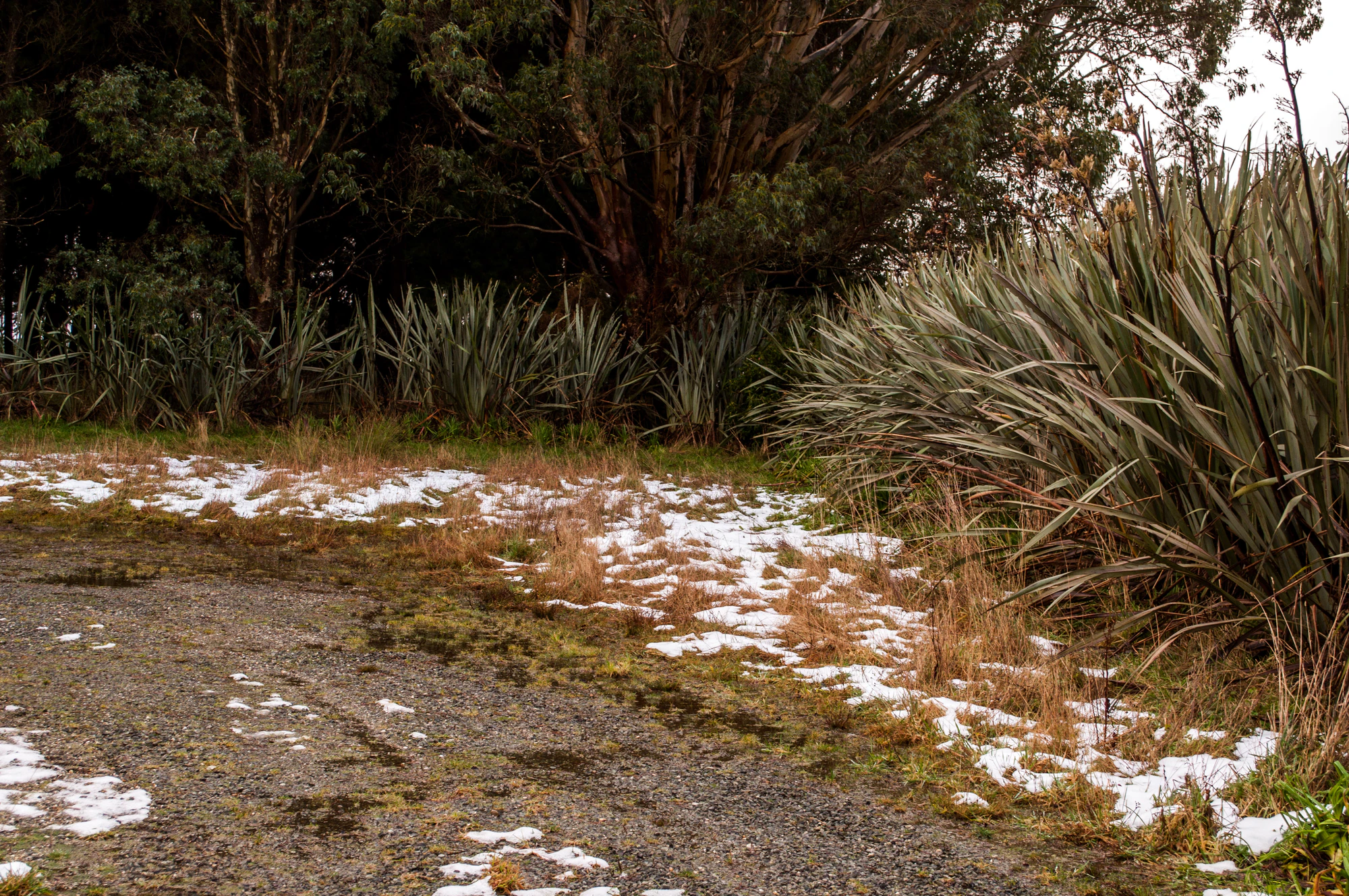 407 — Скачать