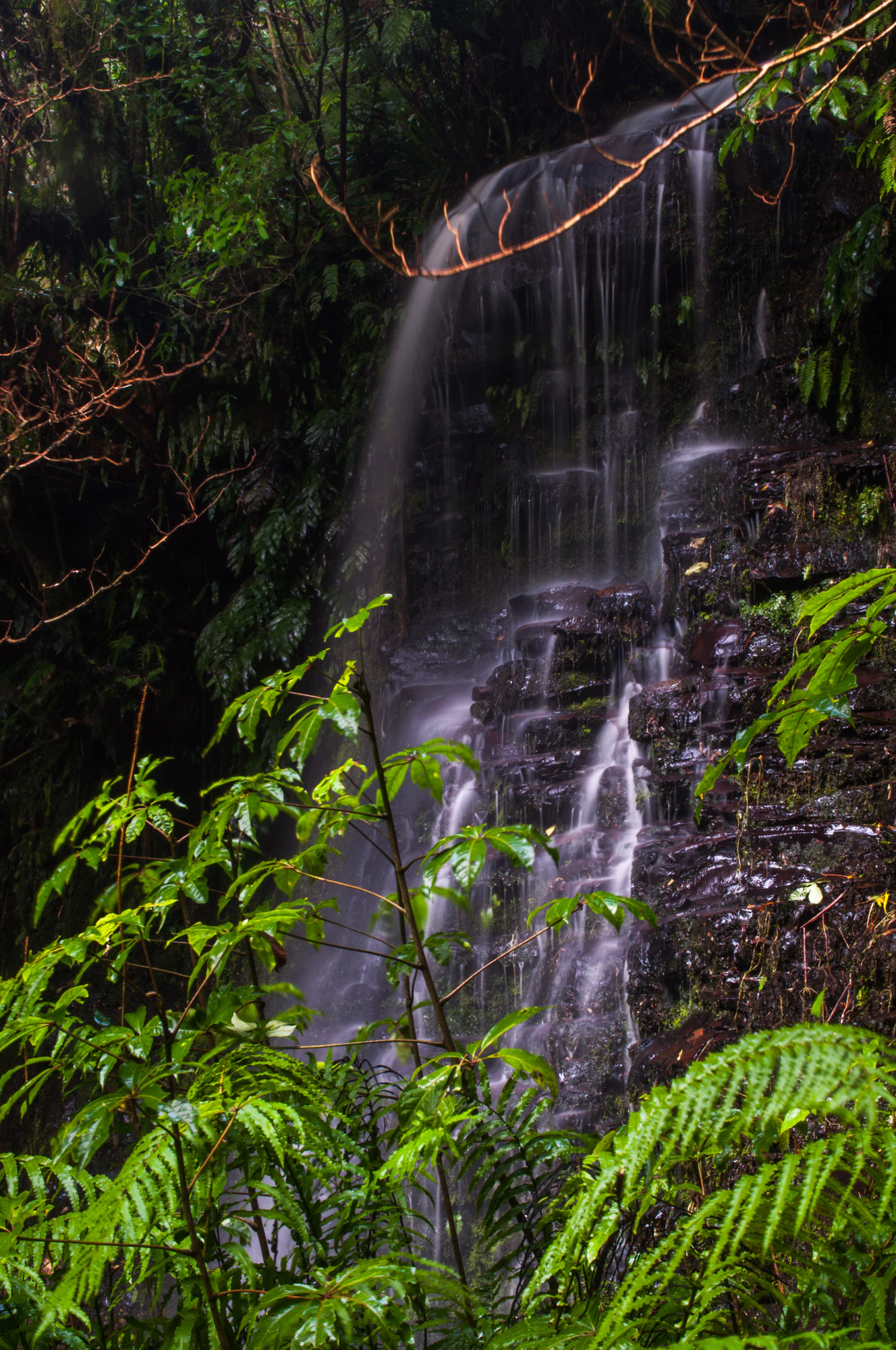 408 — Скачать