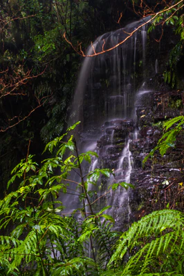 408 — скачать