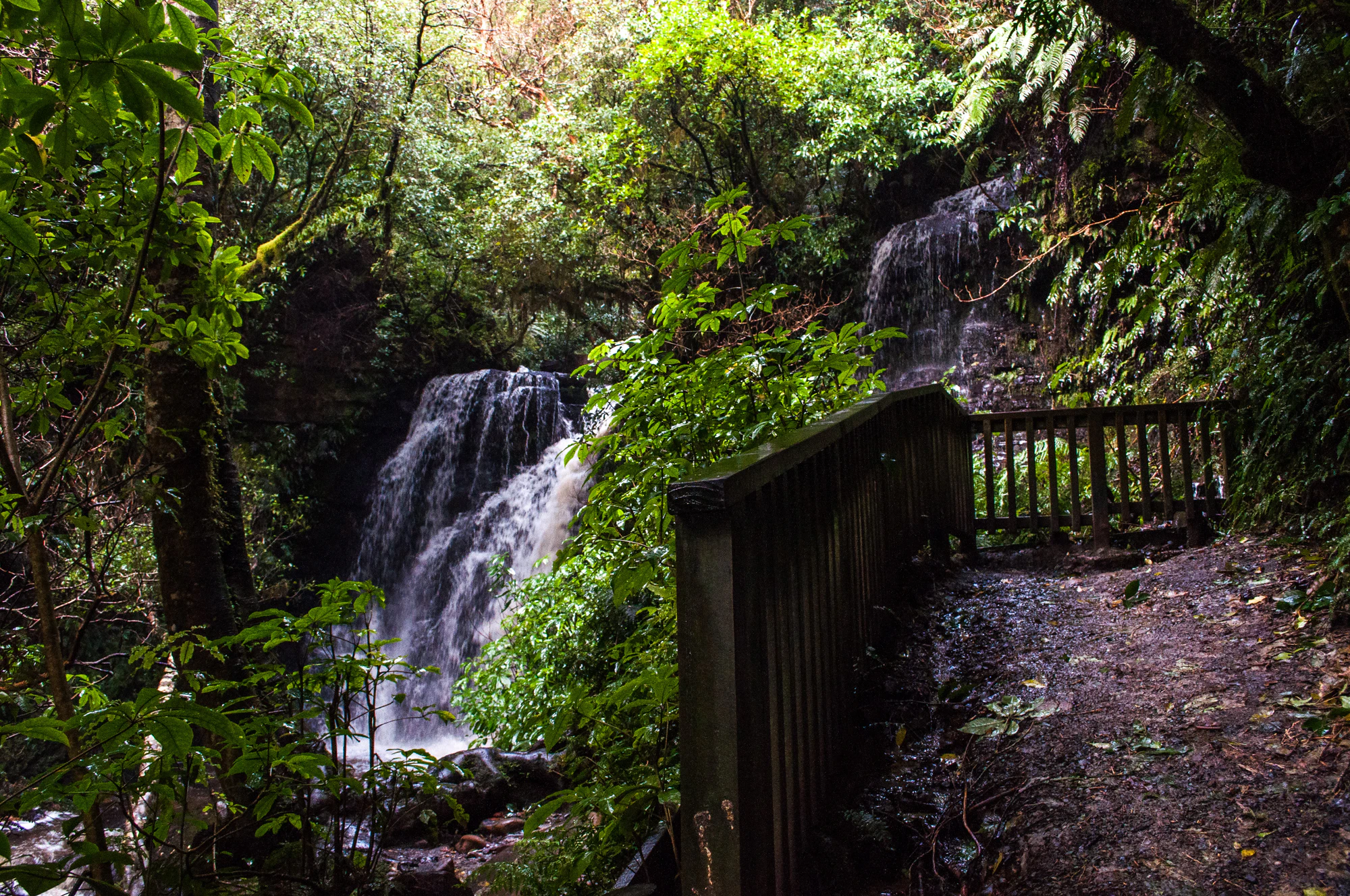 409 — Скачать