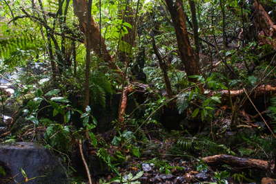 412 — скачать