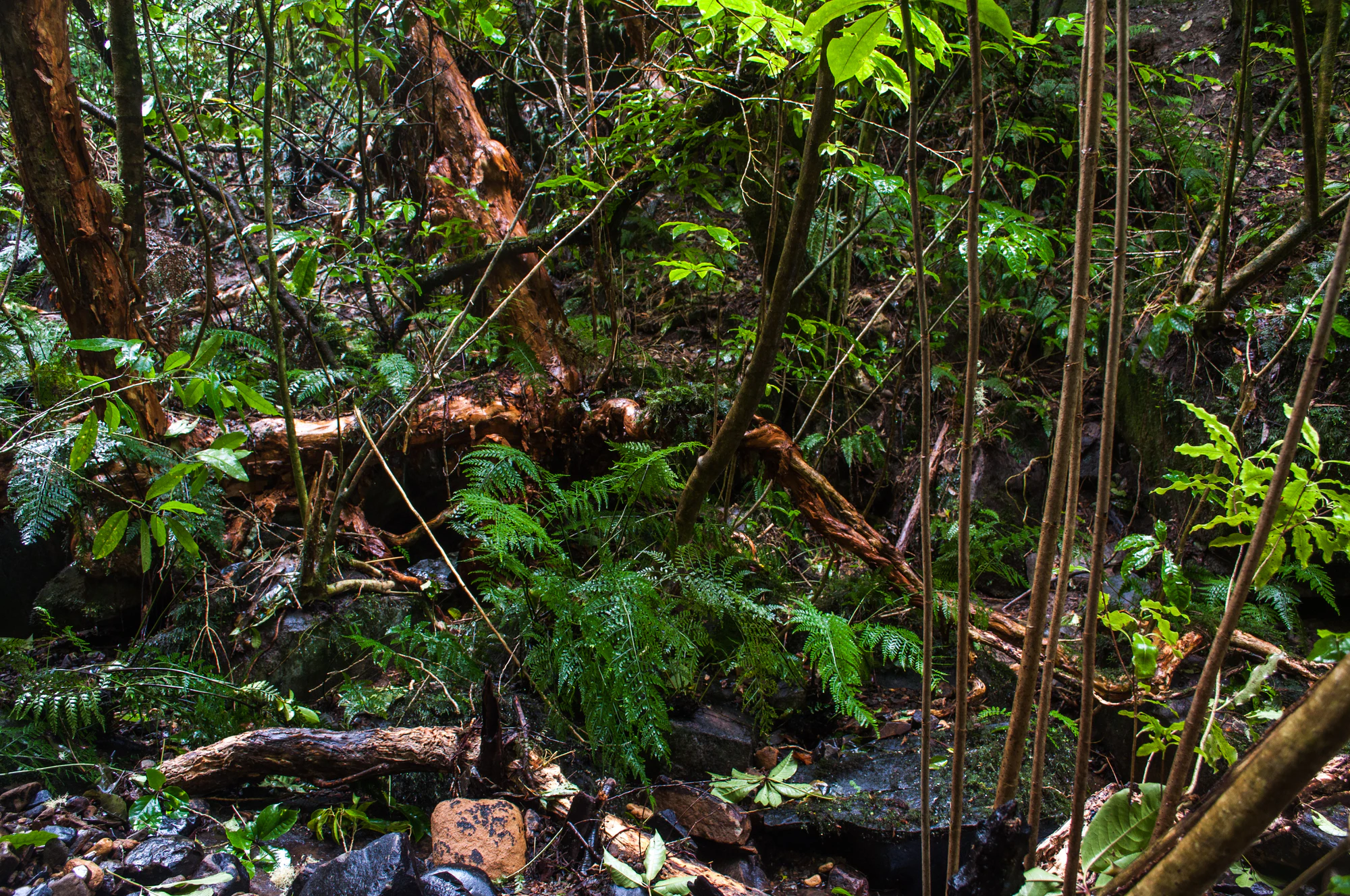 413 — Скачать