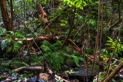 413 — скачать