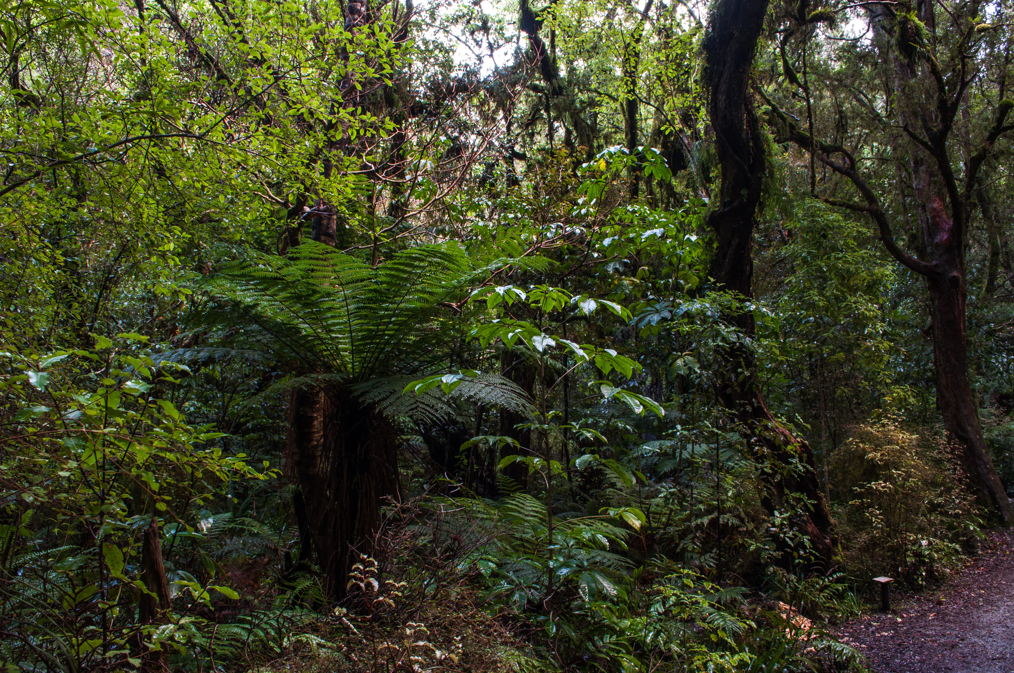 414 — Скачать