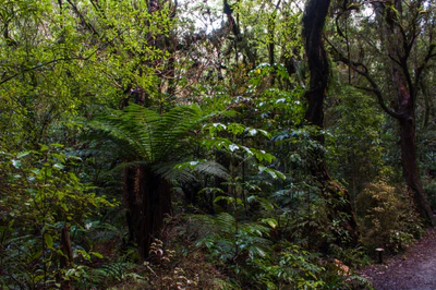 414 — скачать