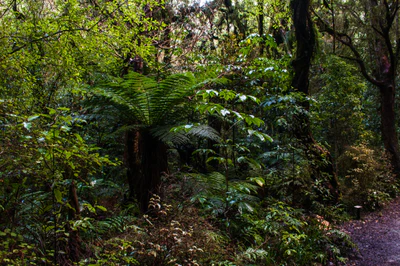 415 — скачать