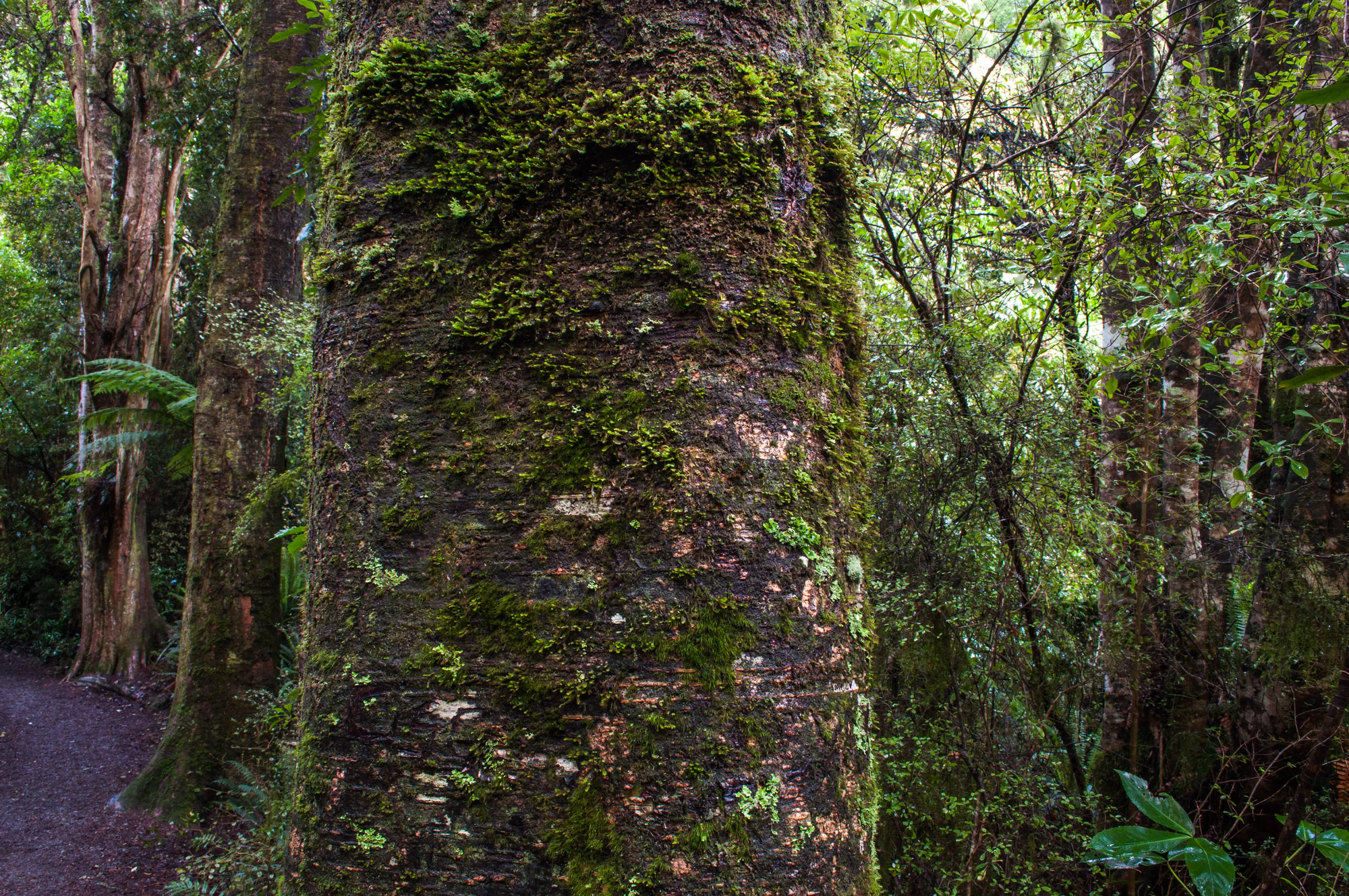 416 — Скачать