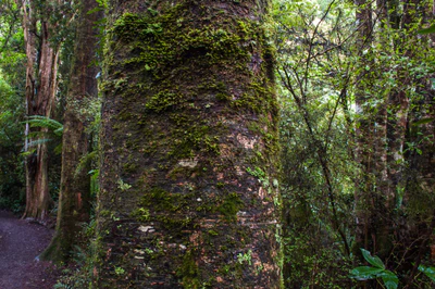 416 — скачать