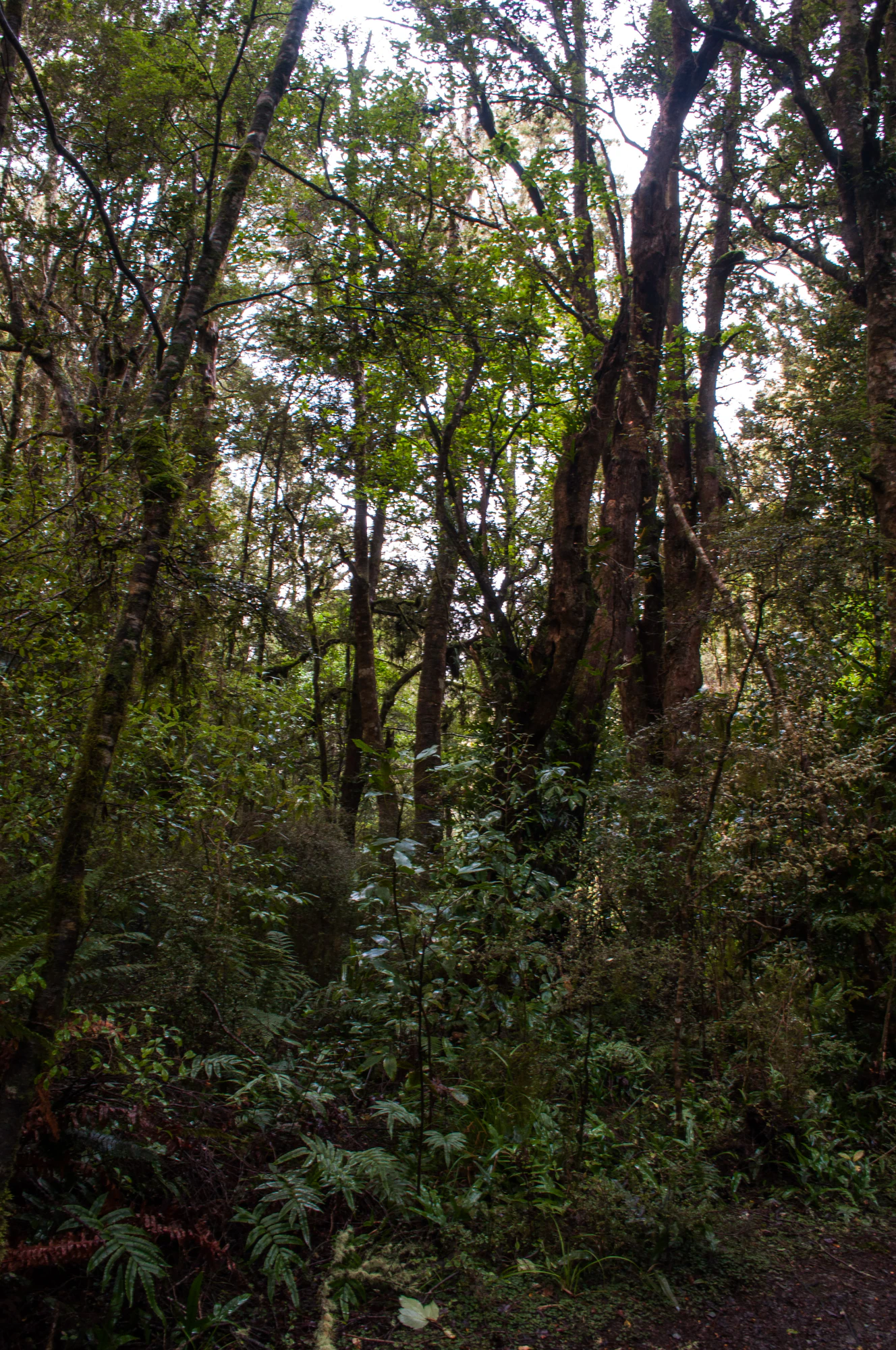 417 — Скачать