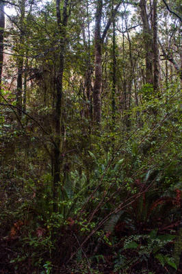 418 — скачать