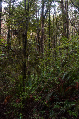 419 — скачать