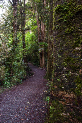 420 — скачать