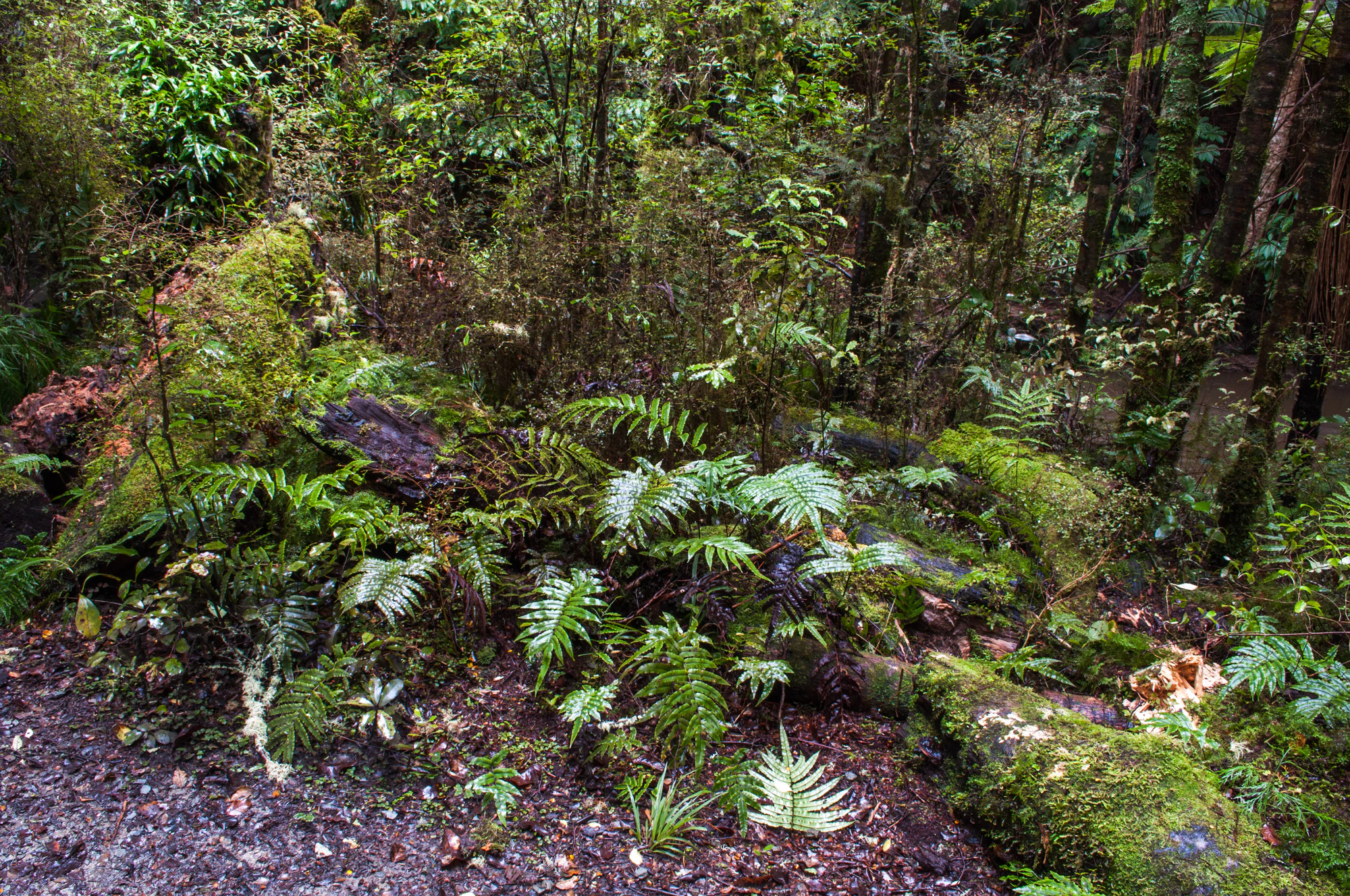 421 — Скачать