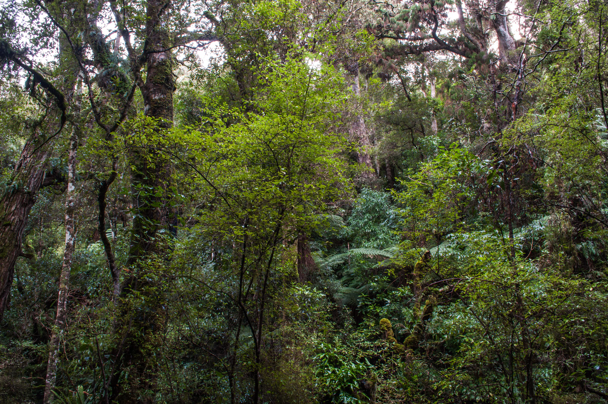 422 — Скачать