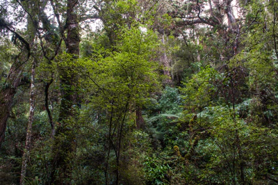 422 — скачать