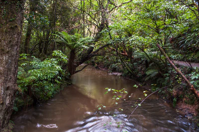 423 — скачать