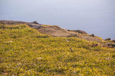 425 — скачать