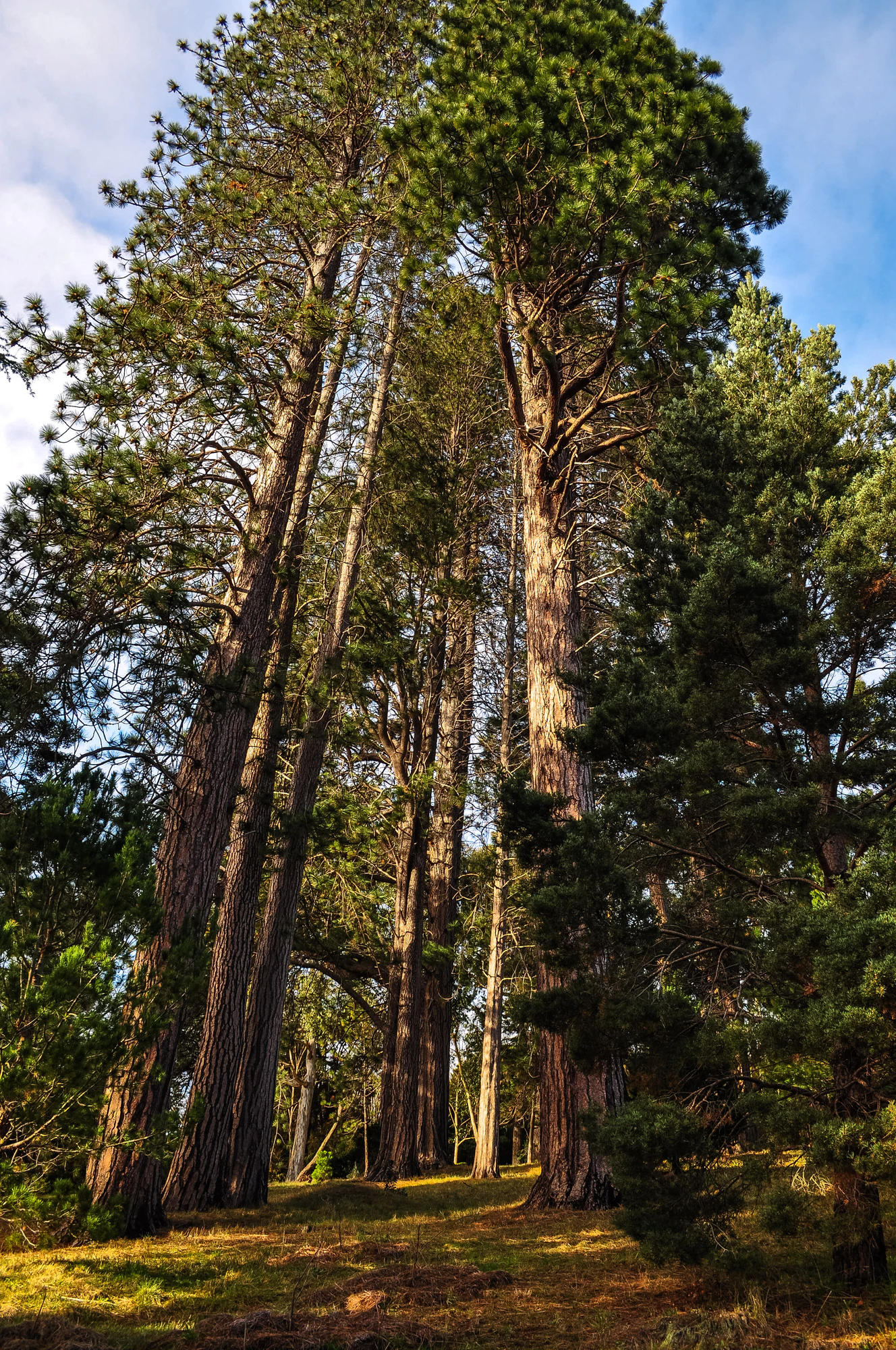 426 — Скачать