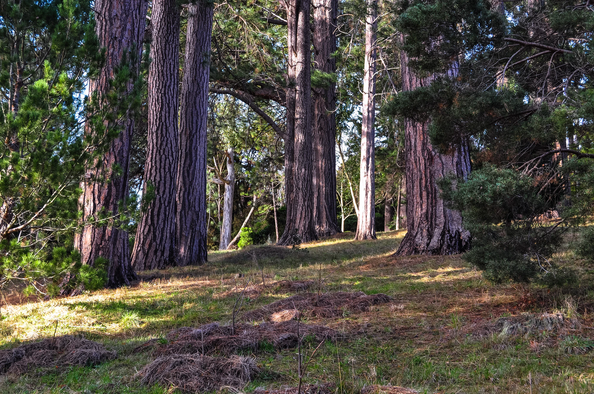 427 — Скачать