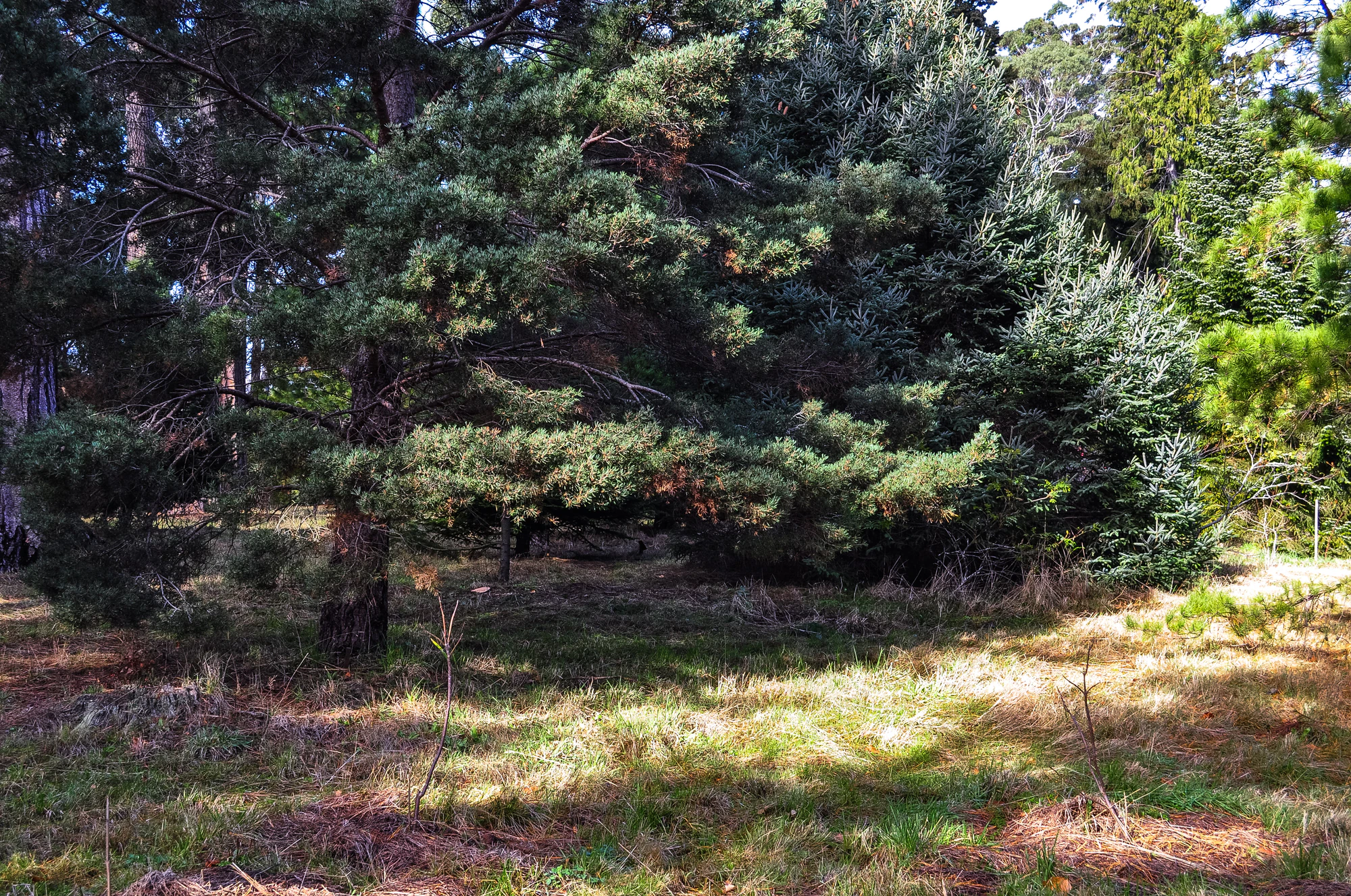 428 — Скачать