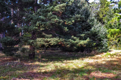 428 — скачать