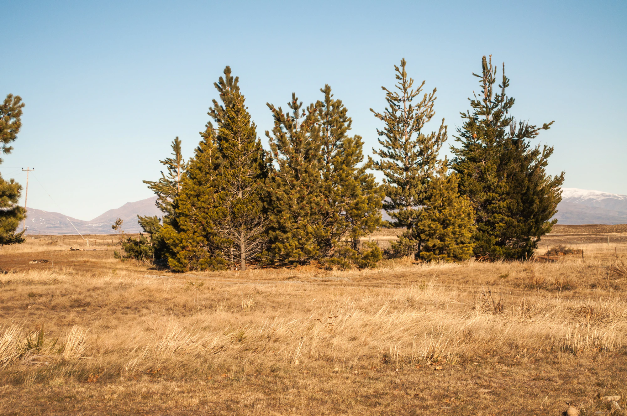 431 — Скачать