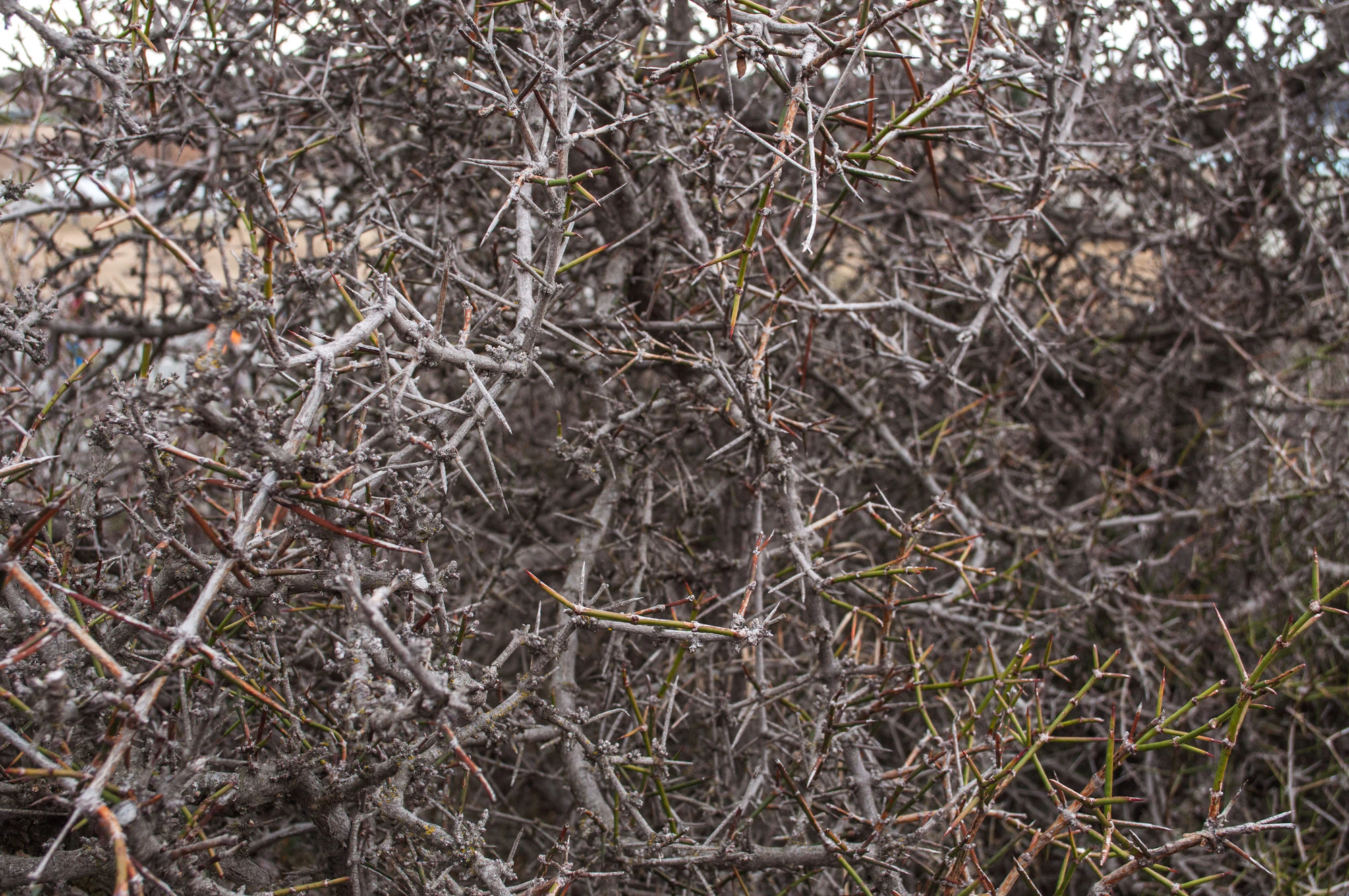 432 — Скачать