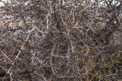 432 — скачать