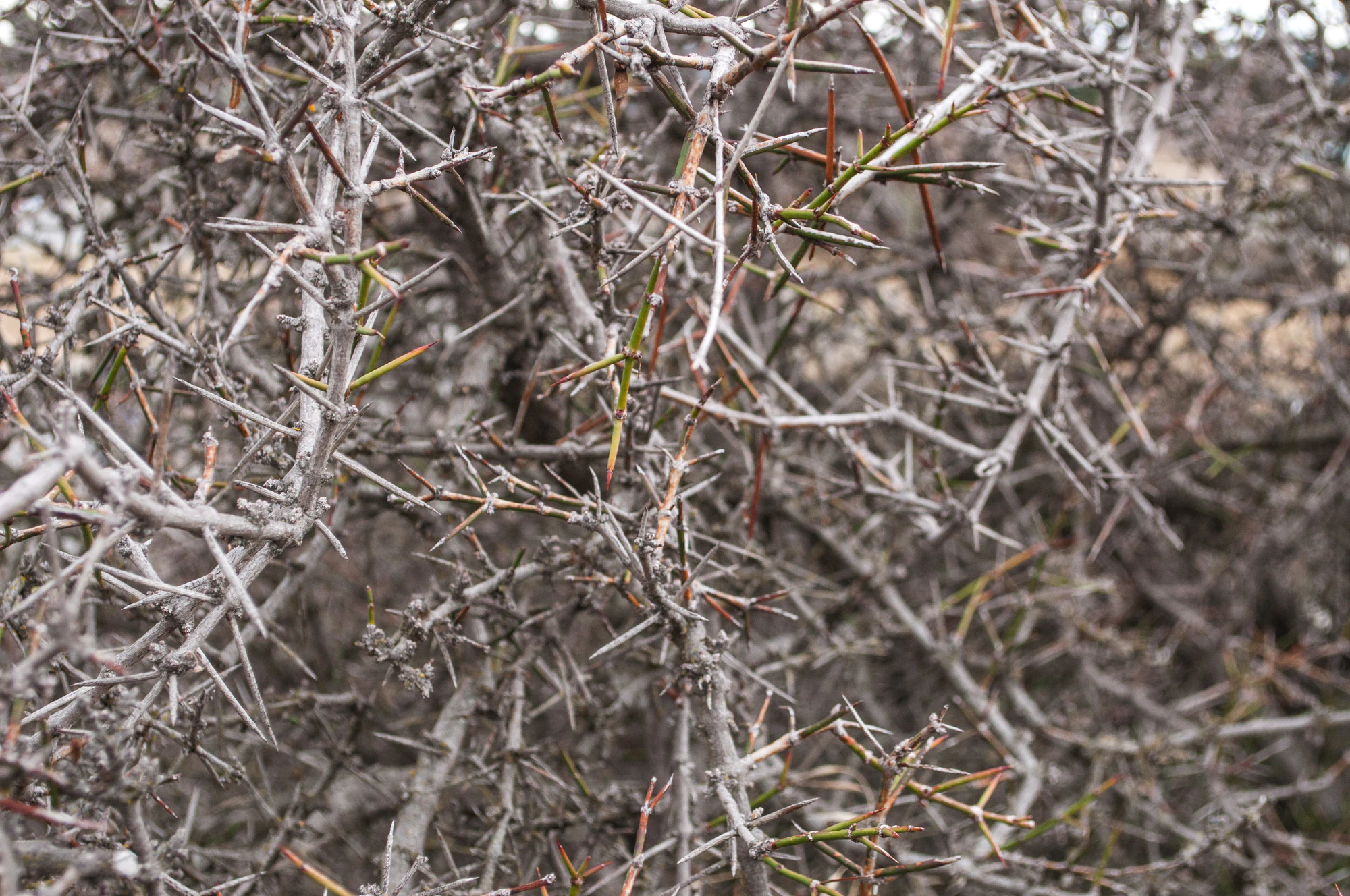 433 — Скачать